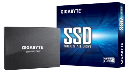 GIGABYTE GP-GSTFS31256GTND