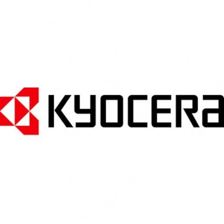 KYOCERA 870LSNM007 KNMP 1 device license