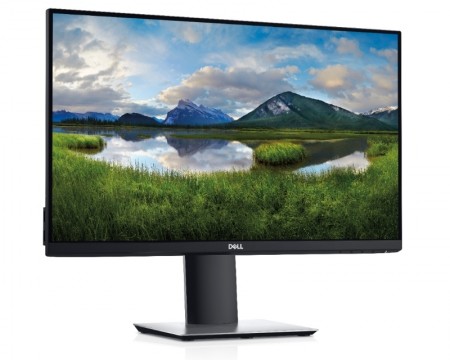 DELL 23.8'' P2421DC QHD USB-C Professional IPS ( 21629 )