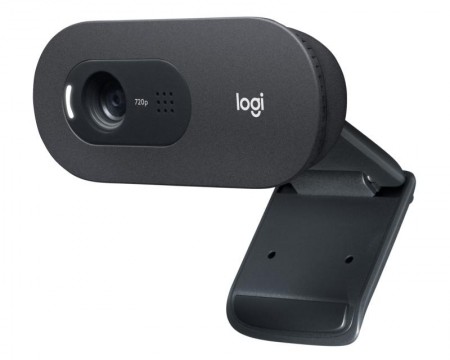 LOGITECH C505E Long Range HD