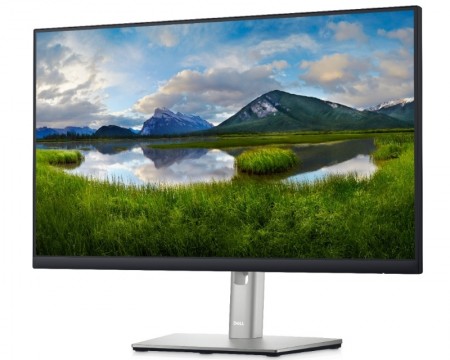 DELL 23.8'' P2422H Professional IPS