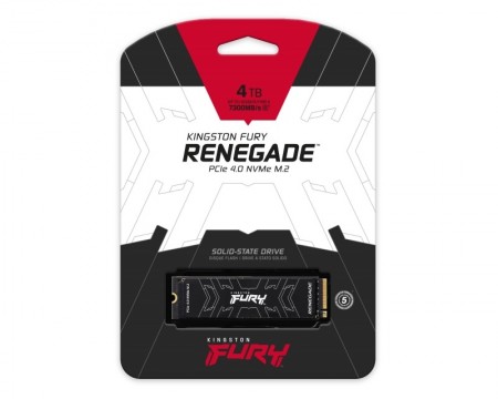 4TB KINGSTON SFYRD/4000G FURY Renegade