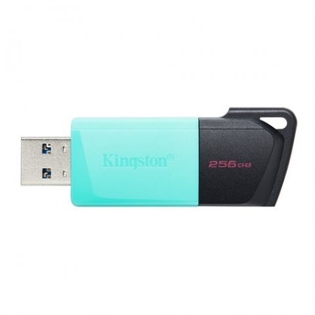 KINGSTON Exodia 256GB USB3.2 Gen1 DTXM/256GB