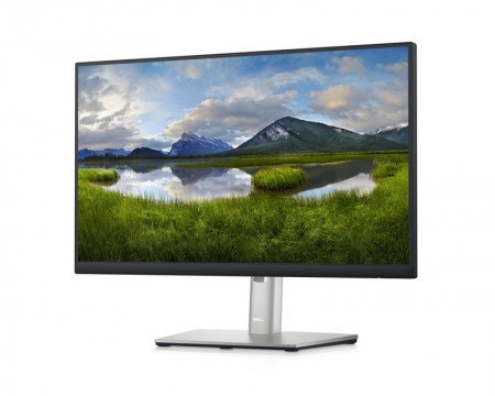 DELL 21.5'' P2223HC USB-C Professional IPS