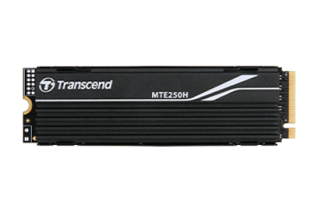 1TB Transcend TS1TMTE250H