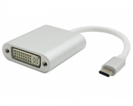 FAST ASIA Adapter - konvertor USB 3.1 tip C (M) - DVI (F) srebrni